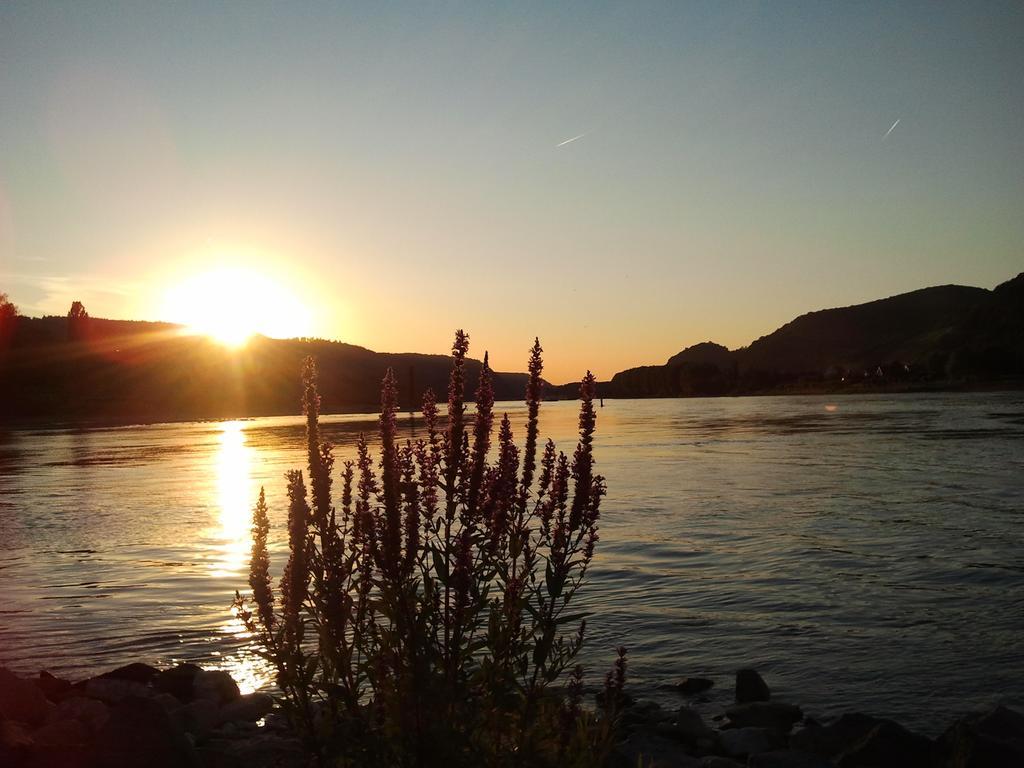 Fe Wo Am Alten Rathaus Andernach Ruang foto
